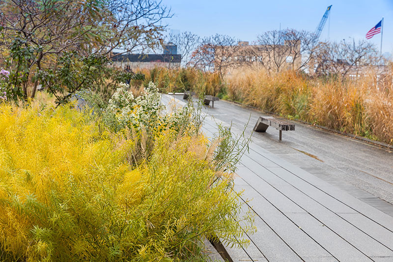 High Line – niezwykły park